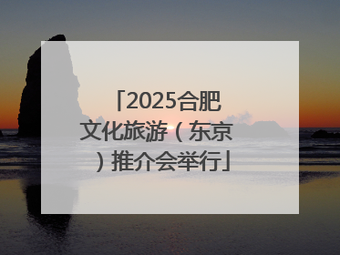2025合肥文化旅游（东京）推介会举行