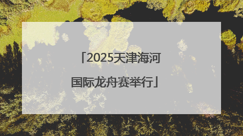 2025天津海河国际龙舟赛举行