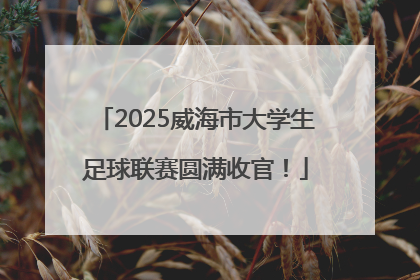 2025威海市大学生足球联赛圆满收官！