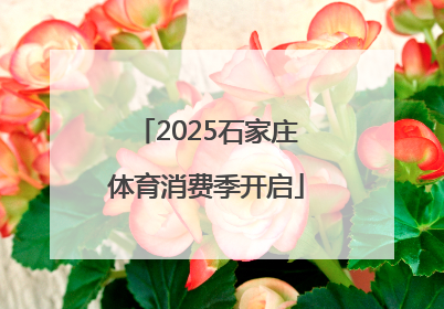 2025石家庄体育消费季开启