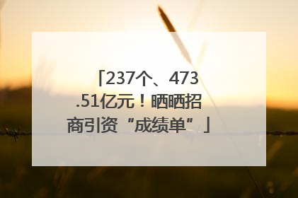 237个、473.51亿元！晒晒招商引资“成绩单”