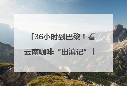 36小时到巴黎！看云南咖啡“出滇记”