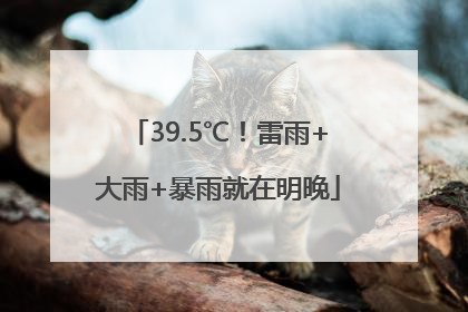 39.5℃！雷雨+大雨+暴雨就在明晚