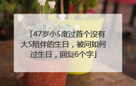 47岁小S度过首个没有大S陪伴的生日，被问如何过生日，回复6个字