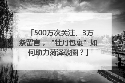 500万次关注、3万条留言，“牡丹包裹”如何助力菏泽破圈？