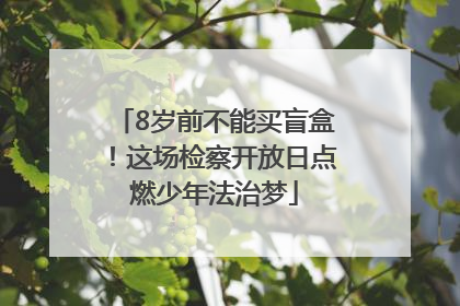 8岁前不能买盲盒！这场检察开放日点燃少年法治梦