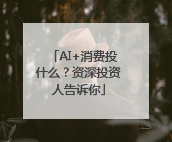 AI+消费投什么？资深投资人告诉你