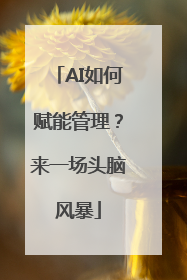 AI如何赋能管理？来一场头脑风暴