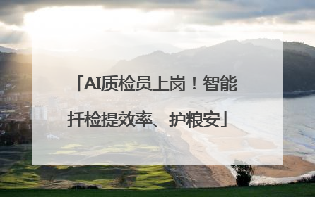 AI质检员上岗！智能扦检提效率、护粮安