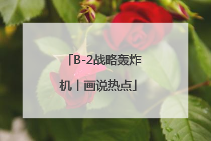 B-2战略轰炸机丨画说热点