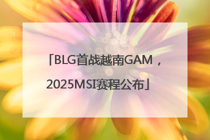 BLG首战越南GAM，2025MSI赛程公布